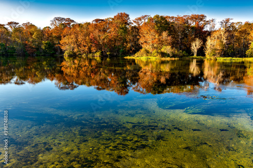 Edward Ball Wakulla Springs State Park.