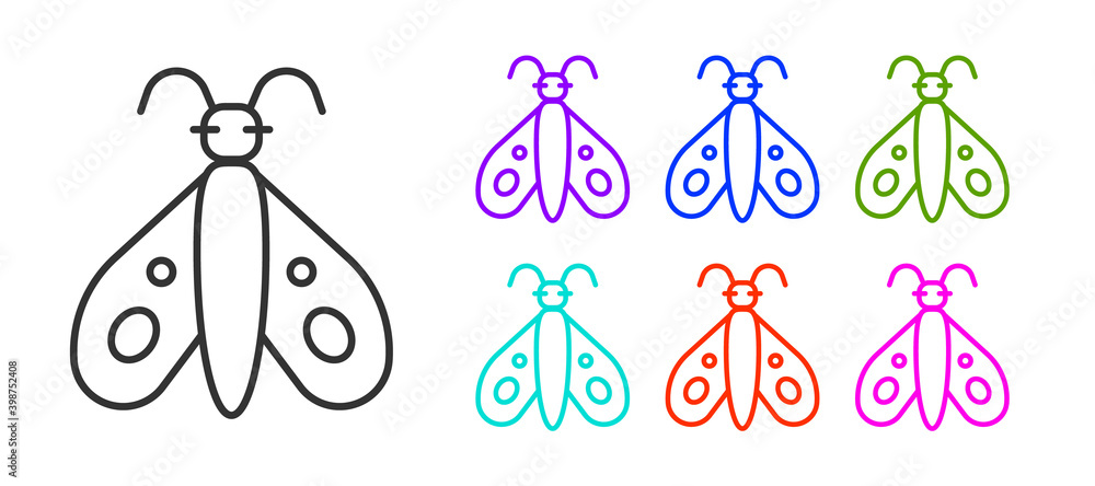 Black line Butterfly icon isolated on white background. Set icons colorful. Vector. Black line Butterfly icon isolated on white background. Set icons colorful. Vector.