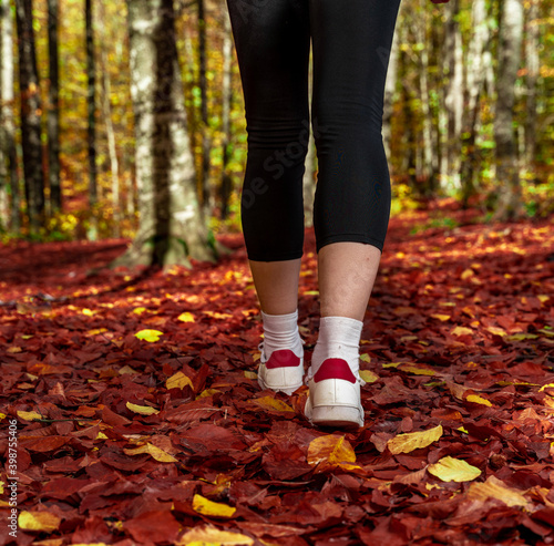 Close-up of legs of a alone woman hiking in the forest in autumn