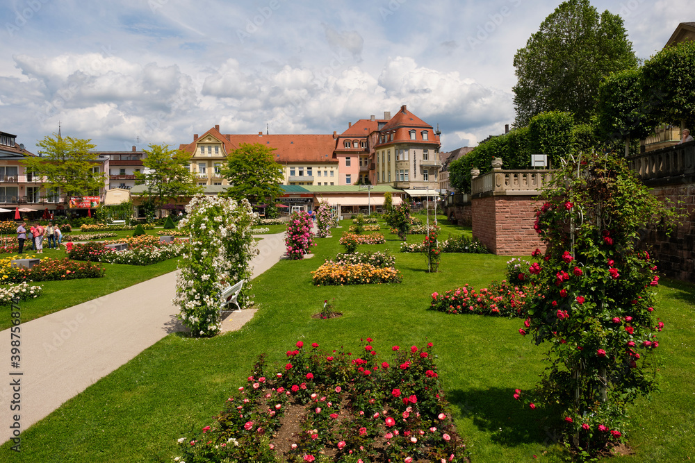 Obraz premium Kurpark und Rosengarten im Staatsbad Bad Kissingen, Unterfranken, Franken, Bayern, Deutschland