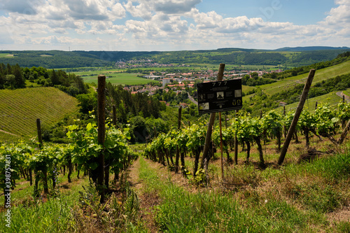 Weinberge und Muschelkalkfelsen am Naturschutzgebiet Hammelberg bei Hammelburg,  Landkreis Bad Kissingen,  Unterfranken,Franken, Bayern, Deutschland photo