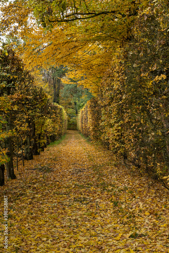 Schloss und Schlosspark Werneck, Landkreis Schweinfurt, Unterfranken, Bayern, Deutschland