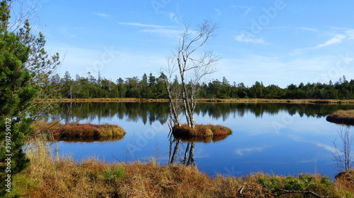 Wildsee bei Kaltenbronn im Nordschwarzwald photo