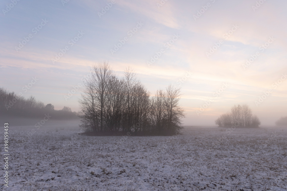 Sunrise over snowy meadow behind bush with ground fog in winter Sunrise over snowy meadow behind bush with ground fog in winter