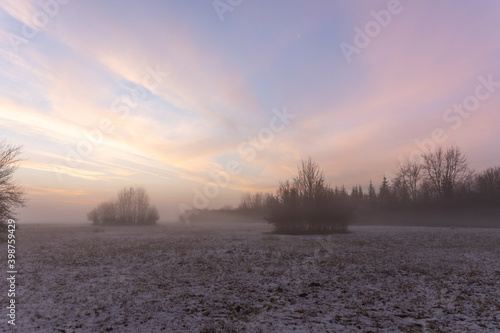 Sunrise over snowy meadow behind bush with ground fog in winter
