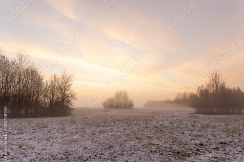 Sunrise over snowy meadow behind bush with ground fog in winter © were