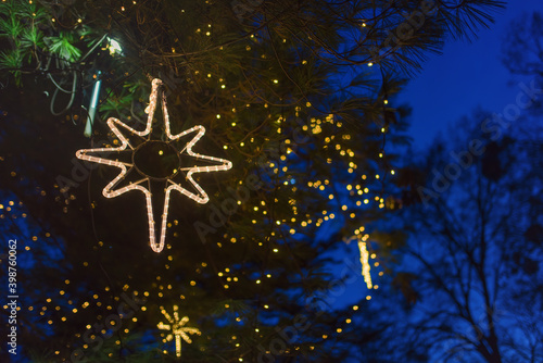 View of Christmas light decorations in the branches of a coniferous tree in public.