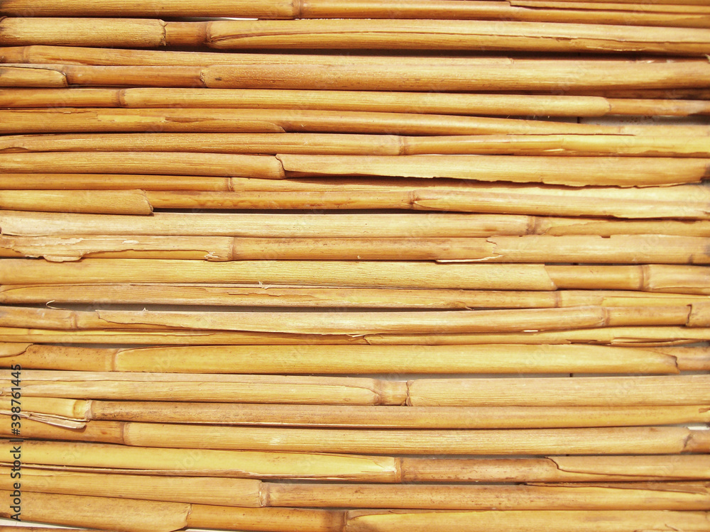 dry cane, texture for natural beige background