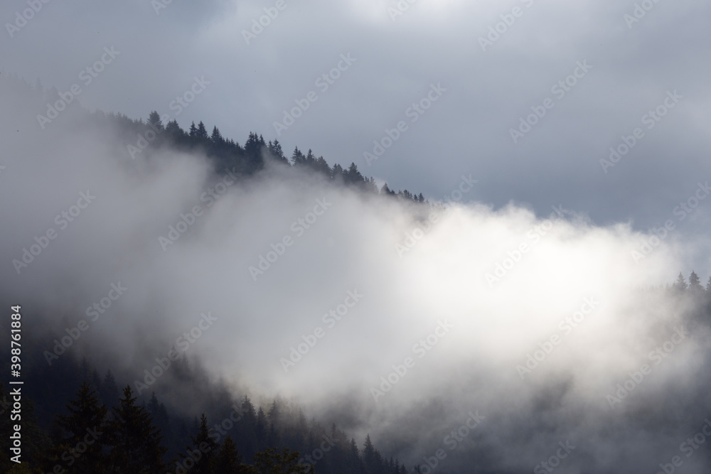 Fog on beautiful forest peaks in the mountains