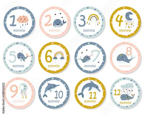 Monthly baby stickers with cute whales