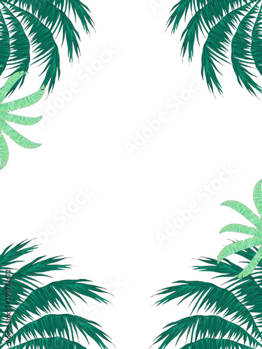 Frame of tropical plants on white 