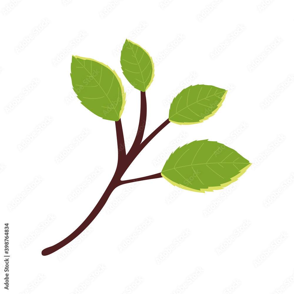 Fototapeta premium branch tree with leaves foliage nature icon design
