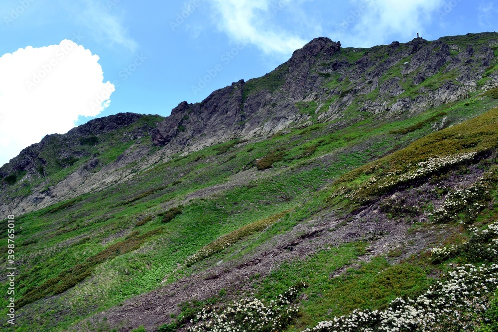 Fototapeta premium landscape with sky