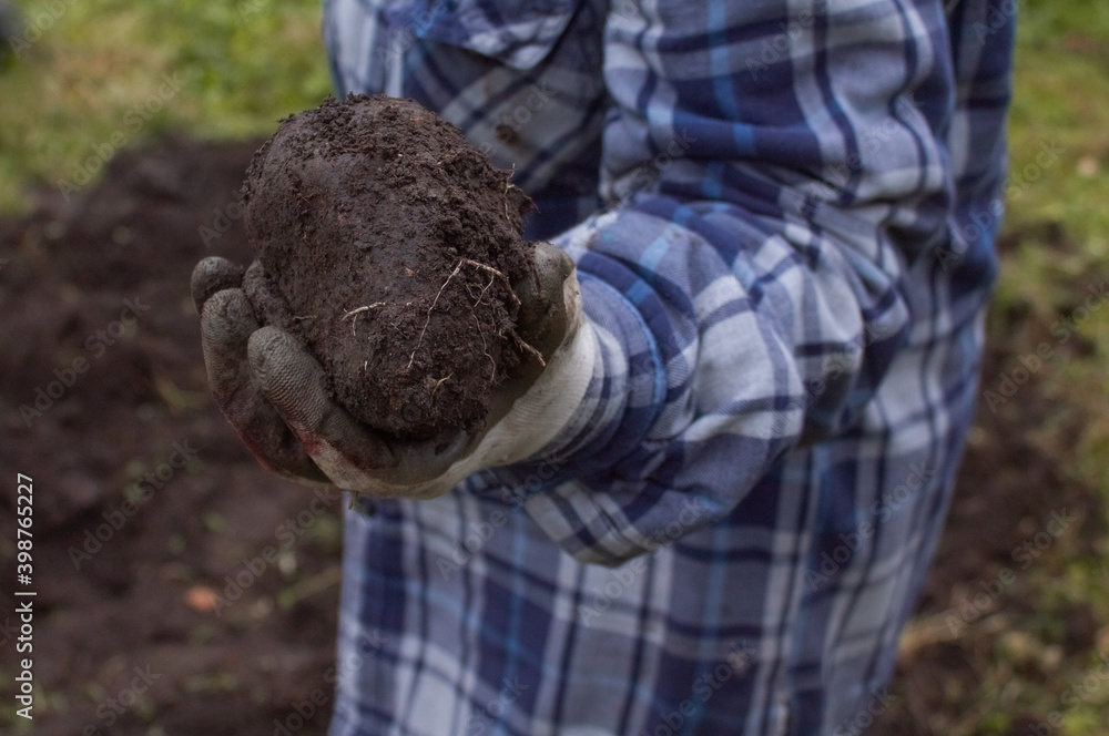 A woman holds a lump of earth planting the plant A woman holds a lump of earth planting the plant