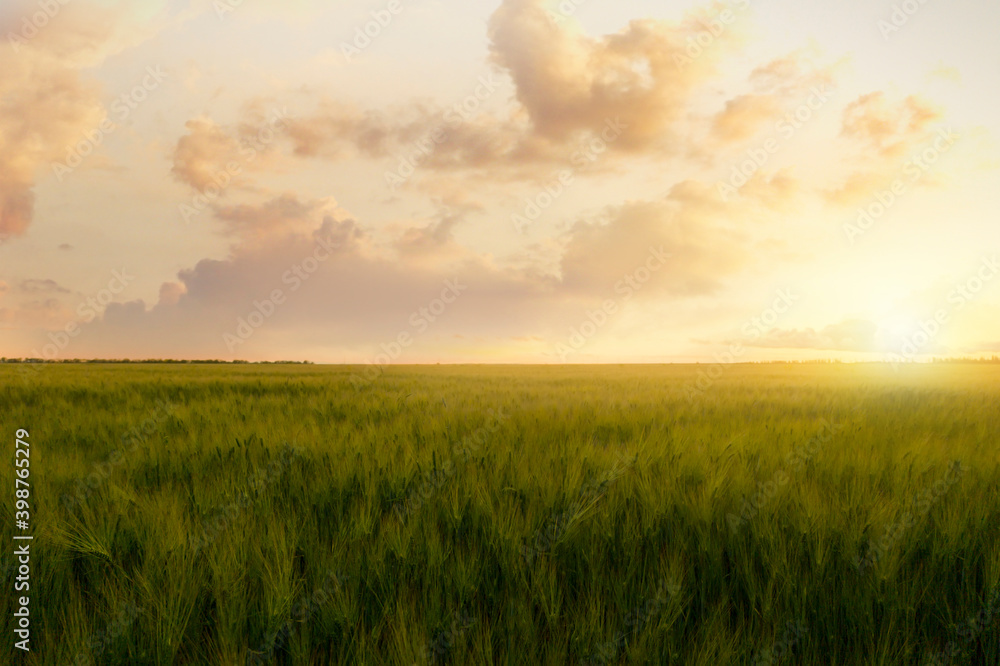 Picturesque view of beautiful green field at sunrise Picturesque view of beautiful green field at sunrise