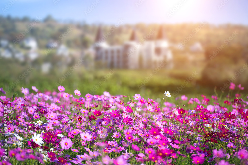 Flower garden on hill with castle background.