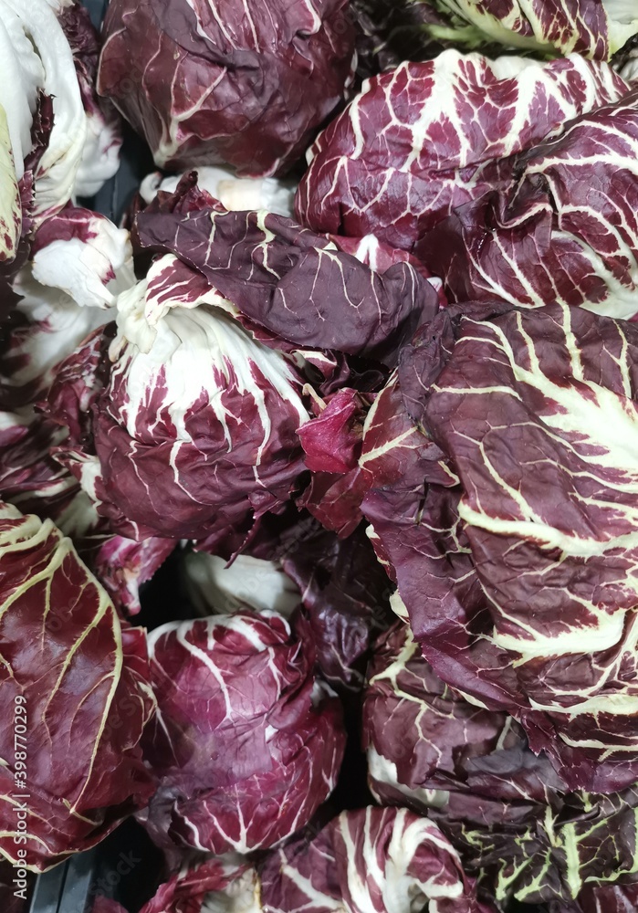 Obraz premium red cabbage background