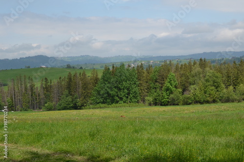 Widok ze Wzgórza Antałówki w Zakopanem na pogórze latem, Polska © Ewa