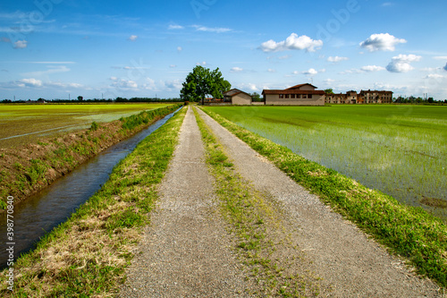 фотографія Campagna Novarese e risaie