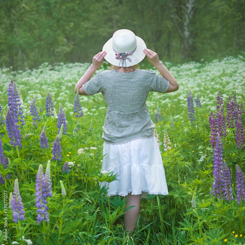 A young woman in a hat stands with her back among the field with purple flowers lupins on a summer morning © Lana Kray