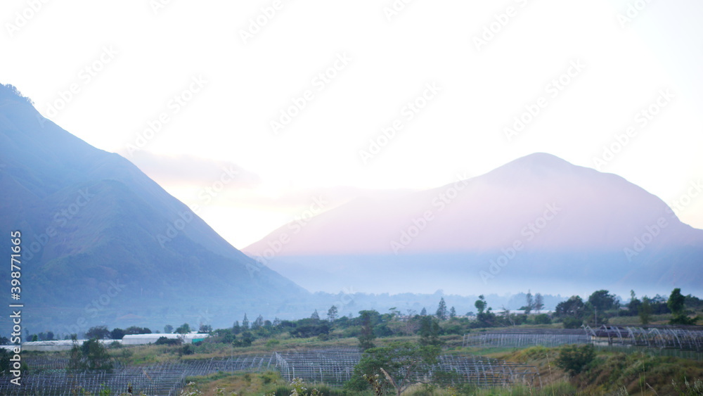 Naklejka premium landscape with fog