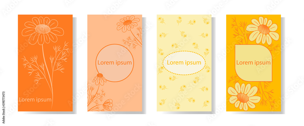 Vector design template for packaging, labels, invitations in a minimalist style. Layout for use in social networks. Set of four backgrounds with the image of daisies. 