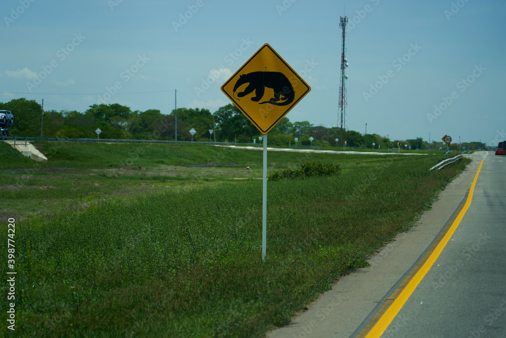 black and yellow road sign. traffic sign showing a ant eater or ant bear