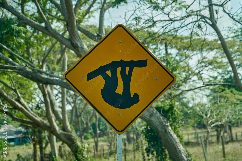 black and yellow road sign. traffic sign showing a sloth