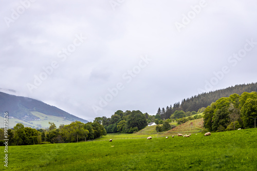 Falls of Divach, a waterfall of Scotland near Urquhart Bay, half way along the northern shore of Loch Ness photo