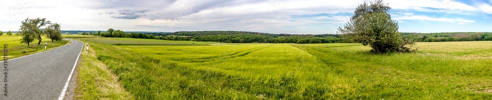 Green agricultural meadows