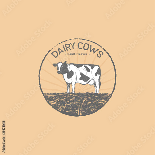 hand drawn dairy cows
