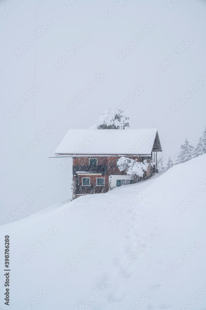 Naklejka premium Winter in den Alpen