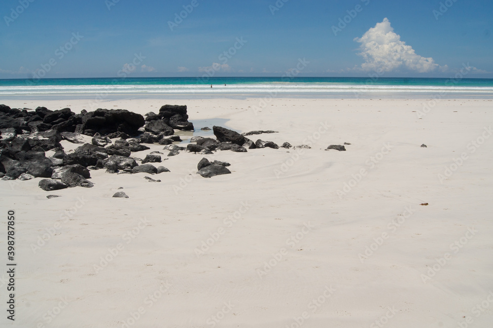 Fotografie a rocky beach with water