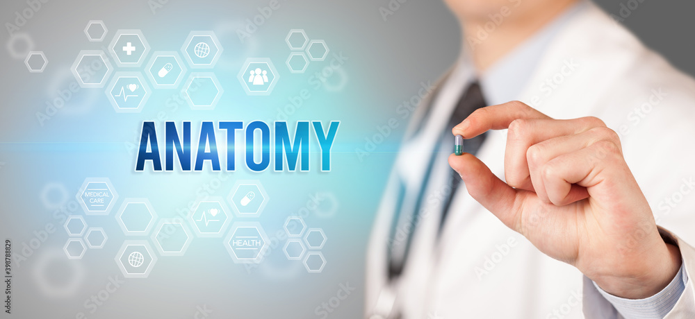 Close-up of a doctor giving you a pill with ANATOMY inscription, medical concept Close-up of a doctor giving you a pill with ANATOMY inscription, medical concept
