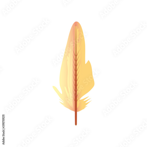 feather fluff ornament decoration icon