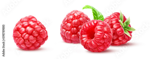 Four juicy raspberries and green leaf isolated on white background