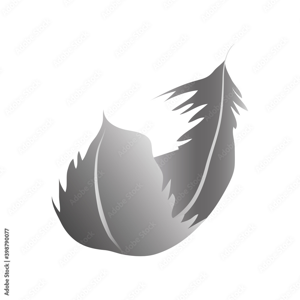 Fototapeta premium gray feather curly decoration ornament icon
