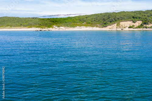 vineyard shore from the sea showing cliffs and beach
