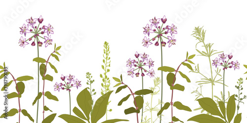 Vector floral seamless pattern, border with purple flowers and green herbs.