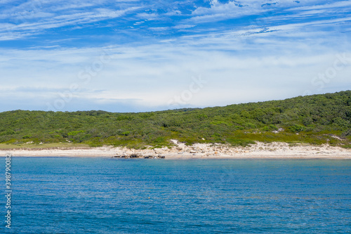 island beach and forest seen from the ocean