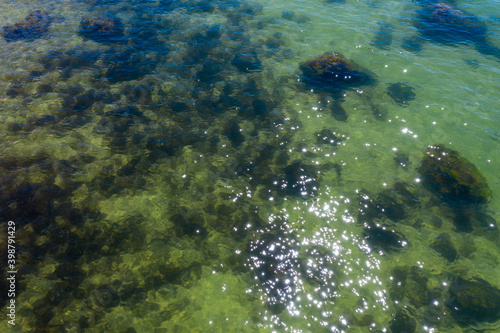 aerial photo of seabed near shore