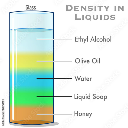 Density of liquids, fluids layers. Different colored materials, Home, lab science experiment. How to specific mass water, oil, honey, soap, ethyl alcohol. In glass cylinder beaker. illustration vector