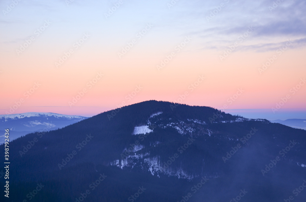 Carpathian winter. Snow coniferous forest on mountains at sunrise.