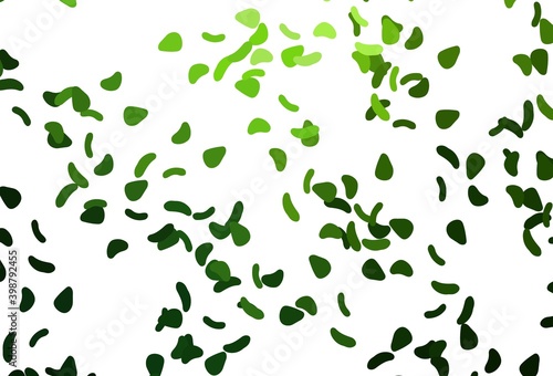 Light Green vector backdrop with abstract shapes.