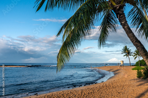 Palm trees grace the shoreline of a sandy beach on the coast of Hawaii with a lifeguard shake and a small island in the ocean, Poipu Beach, Kauai photo