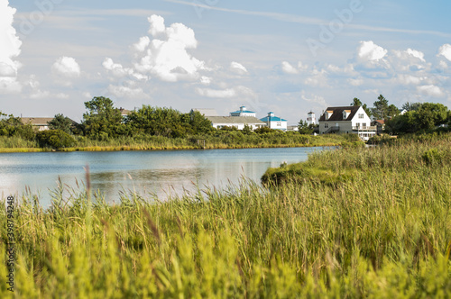 Vibrant summer afternoon in the Virginian coastal wetlands photo