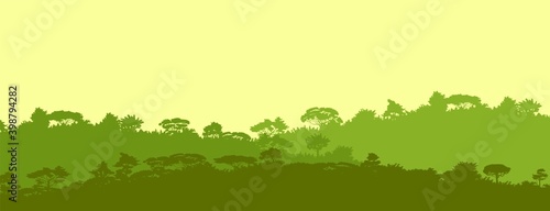 Deciduous forest. Silhouette. Mature, spreading trees. Thick thickets. Hills overgrown with plants. Sky. Vector