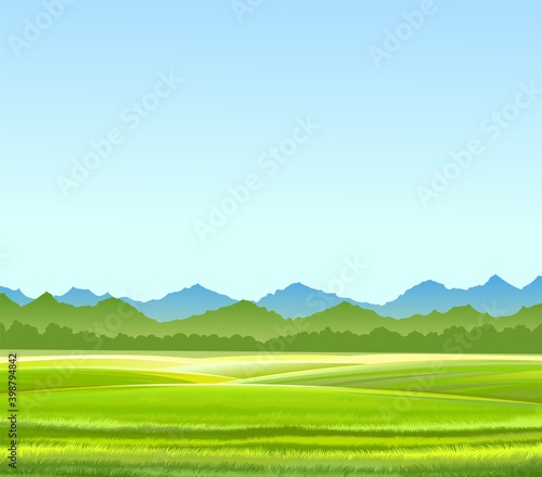 Rural hills. Scenery. Vector. Pasture grass for cows and a place for a vegetable garden and farm. Meadows and trees. Horizon. Beautiful view. Summer.