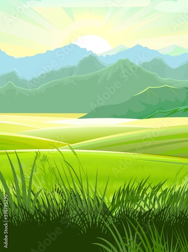 Rural summer landscape. Nice view of the horizon. Fields, meadows and green grassy pastures. Bright sun with rays. Morning beautiful scenery. Vector