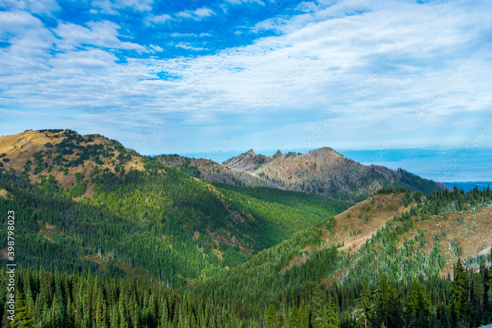 Fototapeta premium Port Angelas and the Strait of de Fuca from Hurricane Ridge, Olympic National Park, Washington